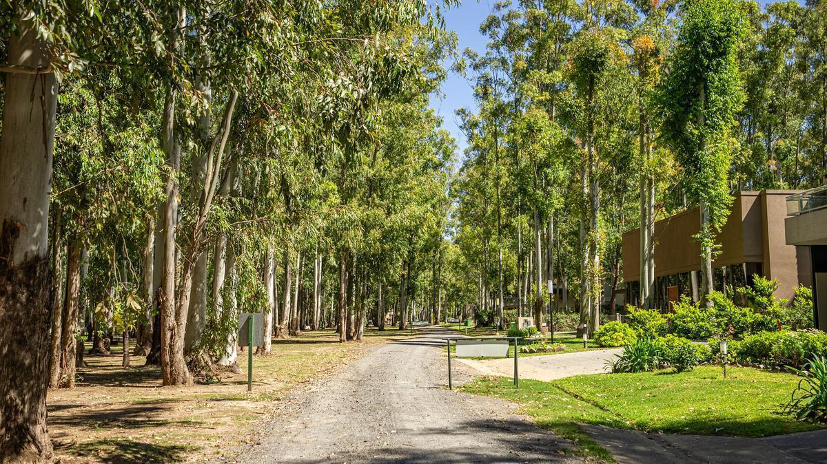 Terreno en  Puerto Paraiso - Barrio Cerrado - Gran Arboleda - Bajada al rio