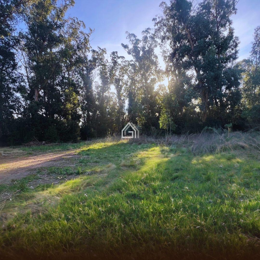 Terreno en  tandil