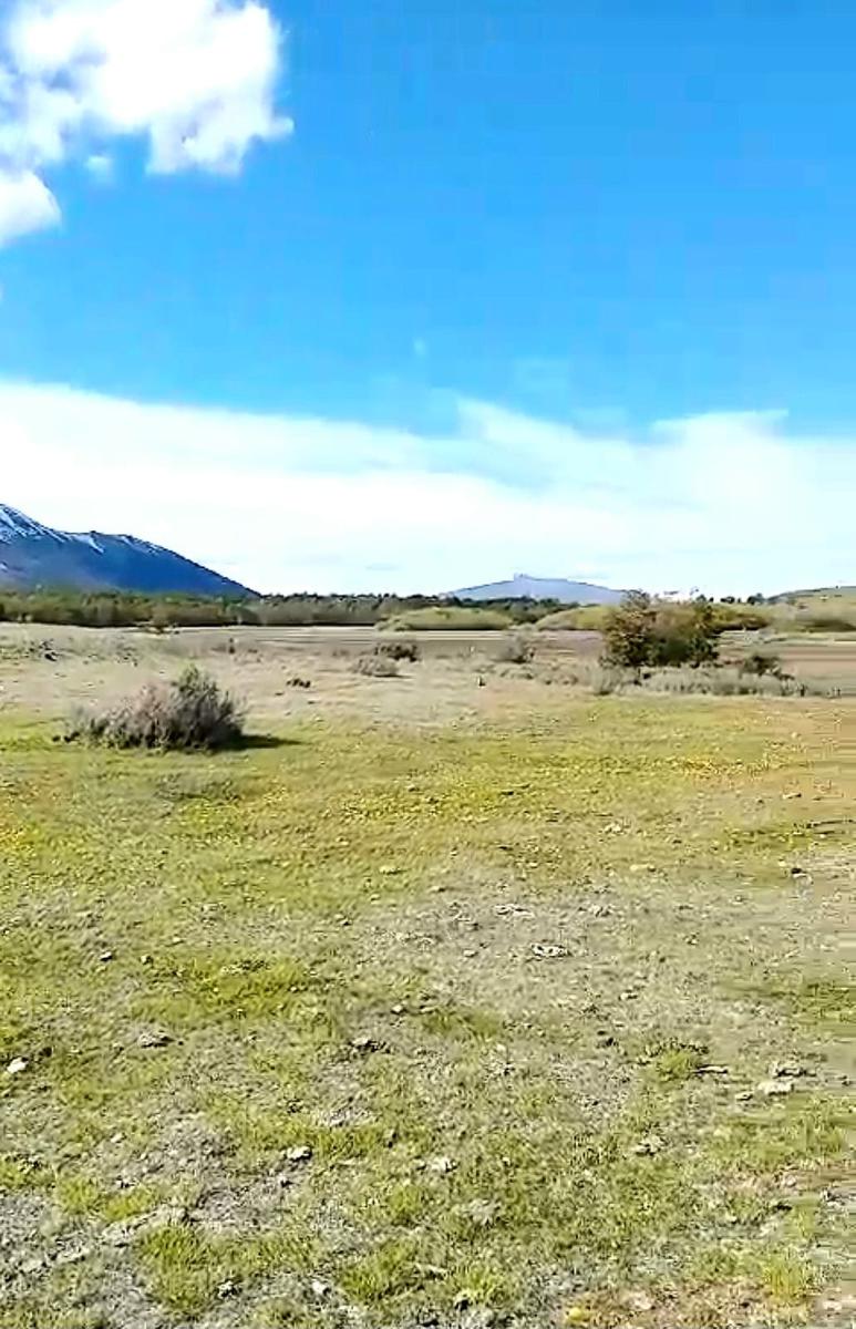 Venta Campo con Vista al Perito Moreno - 1300 Ha - Santa cruz - Lago argentino.