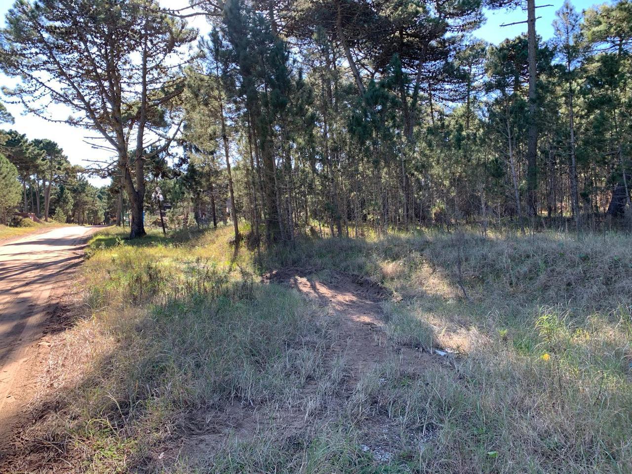 Terreno en  Barrio Alamos sobre Boulevar Pinamar Norte