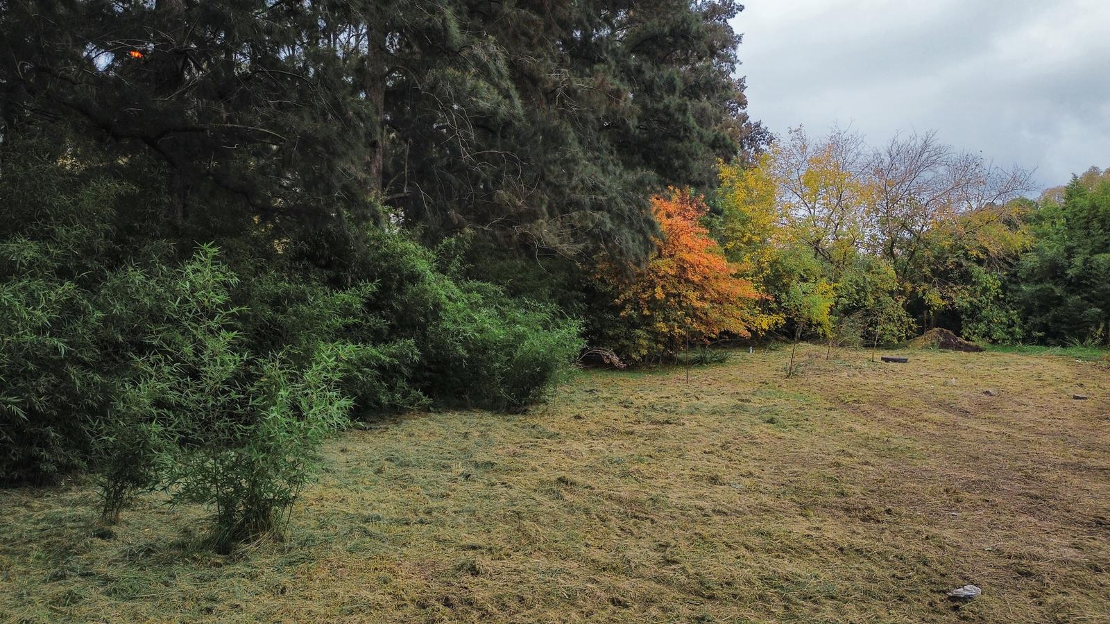 TERRENO A LA VENTA EN YEI PORA LOTEO LA ESMERALDA