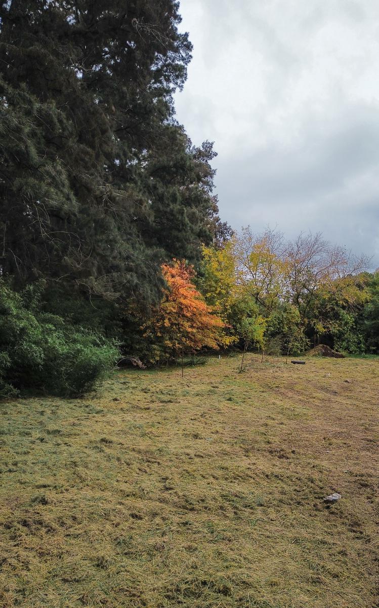 TERRENO A LA VENTA EN YEI PORA LOTEO ABIERTO LA ESMERALDA