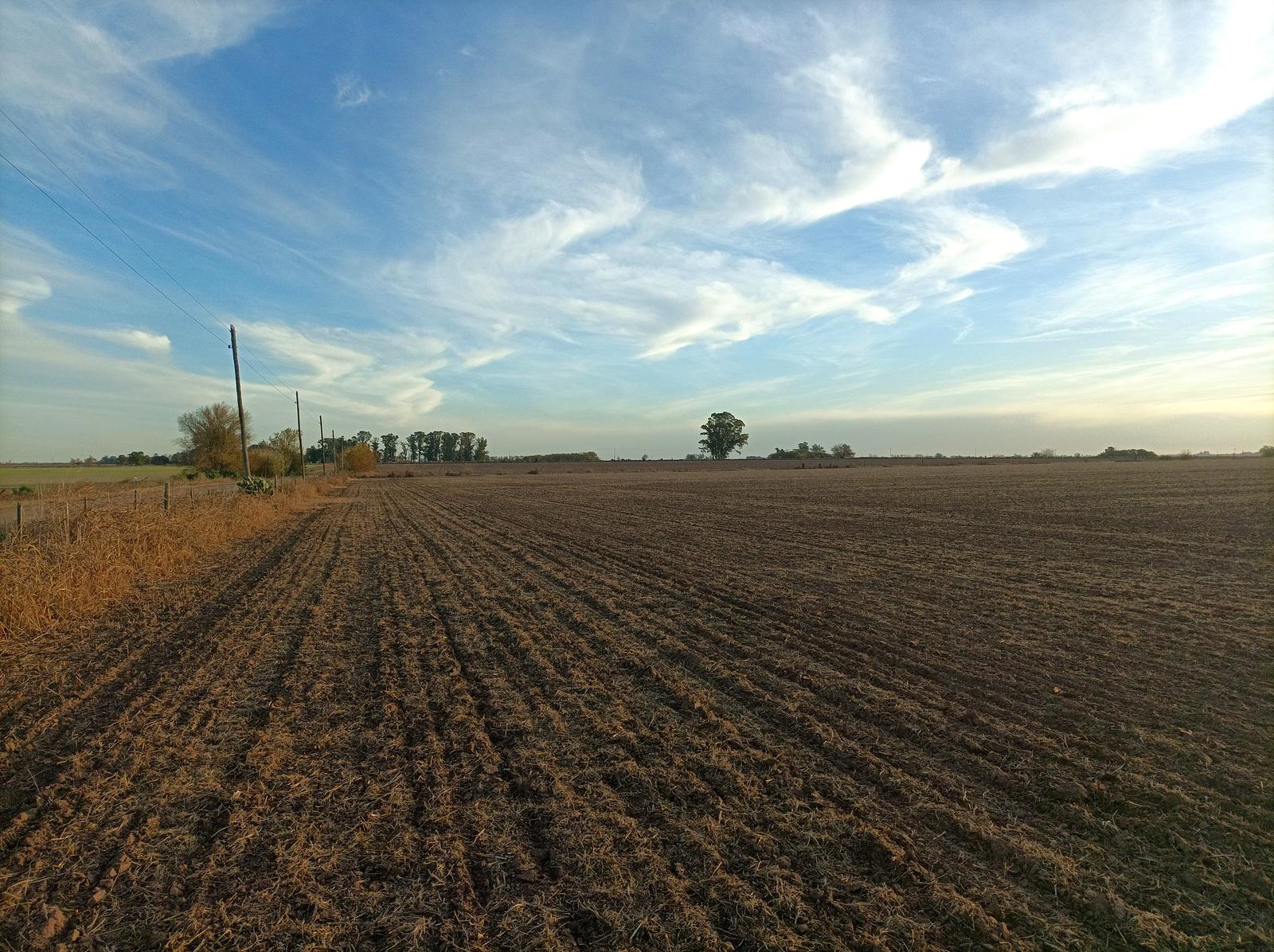 Venta Campo 8Ha - Rueda, Constitución