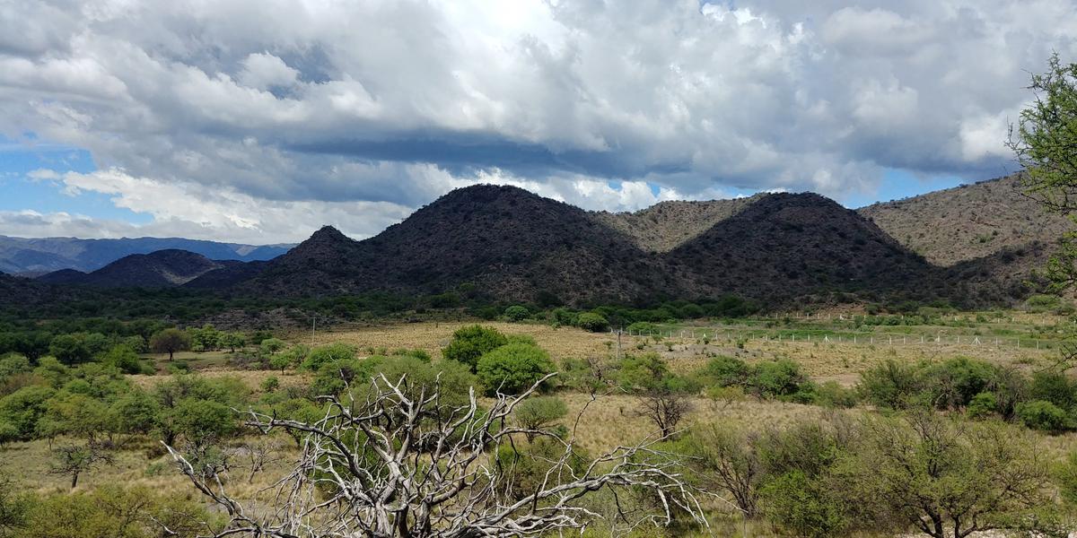 San Francisco  Del Monte De Oro,  chacra 40 hectareas sobre ruta , ESCRITURA INMEDIATA