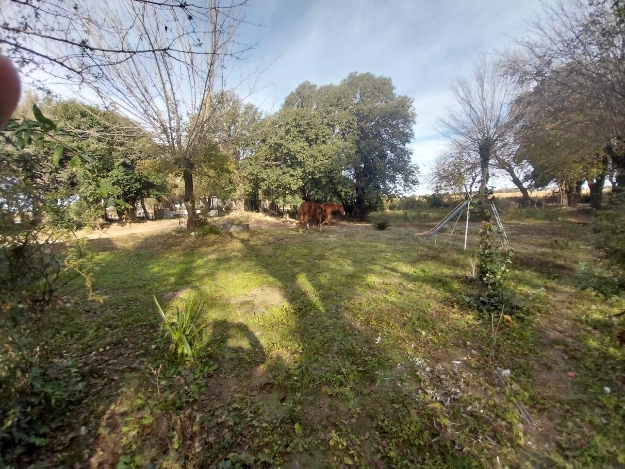 Campo en venta en Pilar con salida al rio, ideal inversor, 7700 m2.