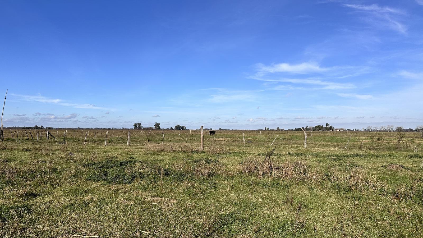 Terreno en Marcos paz, Gral Rodriguez. 125 Hectáreas.