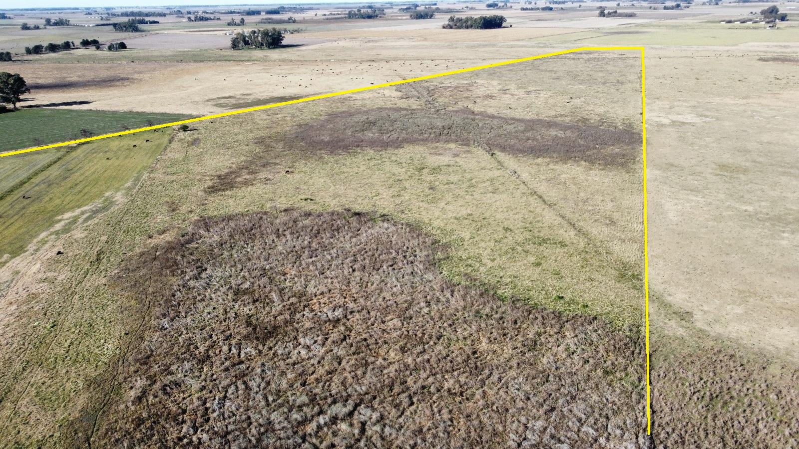 Campo de 40 hectáreas en Roque Perez