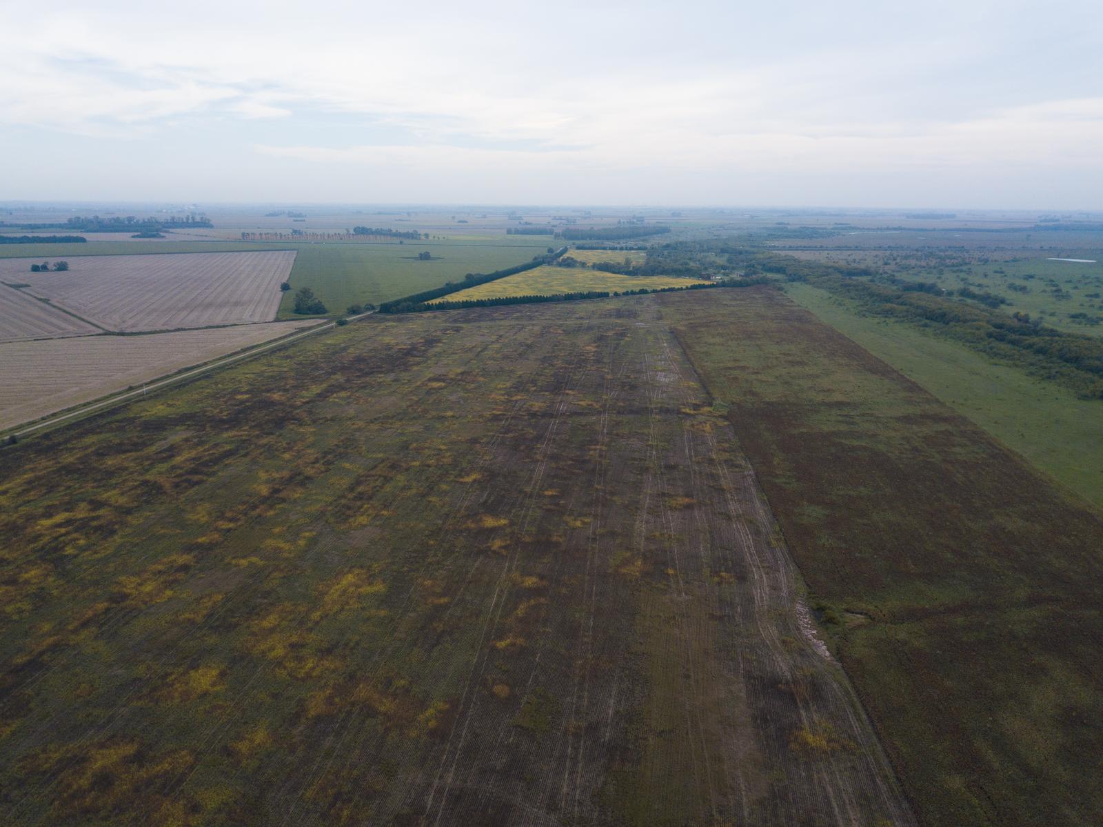 CAMPO en Zavalla 125 HECTARES