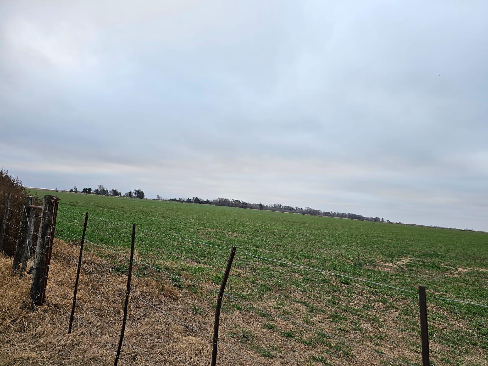 Campo en Intendente Alvear