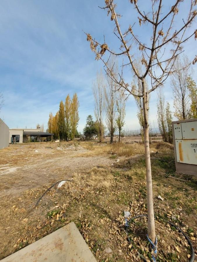 LOTE EN VENTA - Barrio  LA LUISA  - Lujan de Cuyo