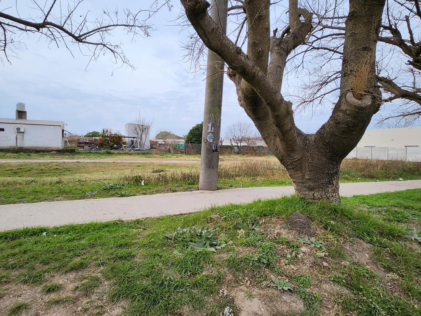 Terreno en San Benito