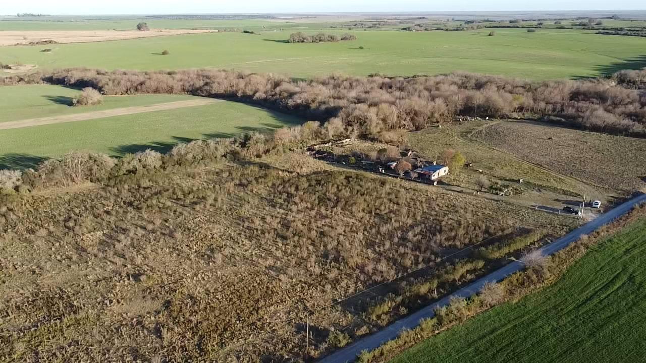 Campo en Rincon de Nogoya