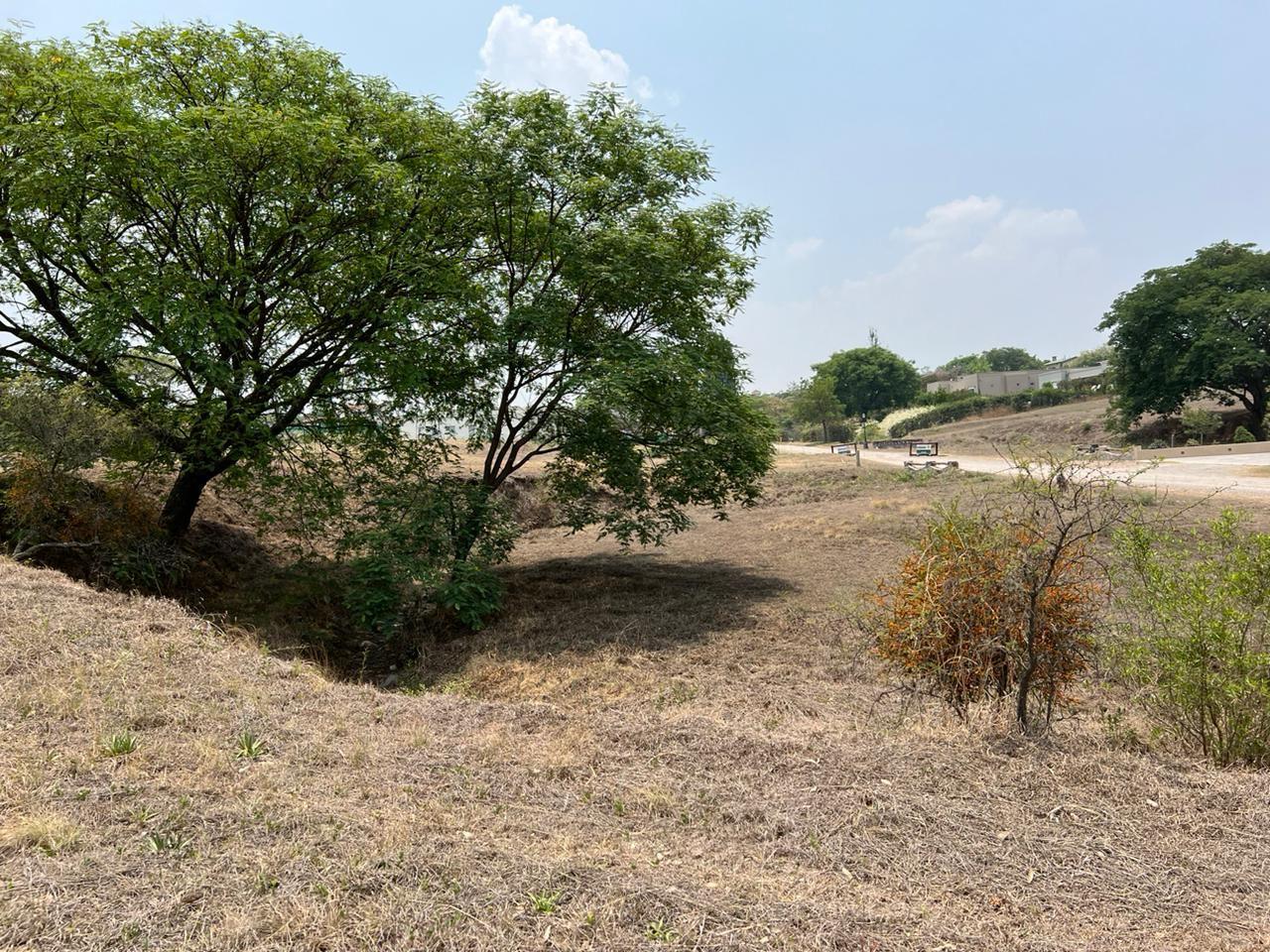 Terreno en El Tipal