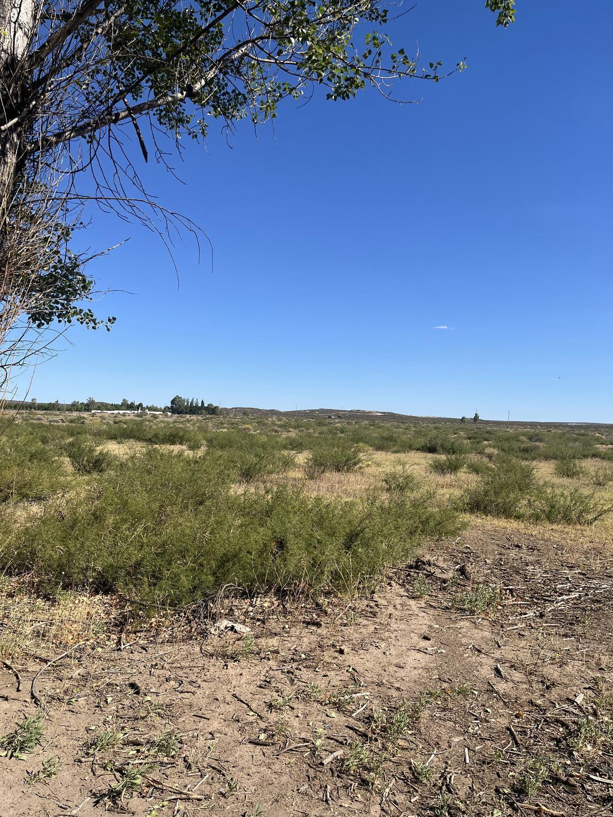 Venta campo en Cervantes, Rio Negro