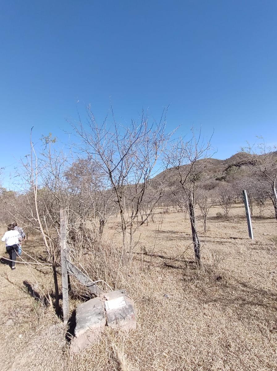 Terreno en lozano