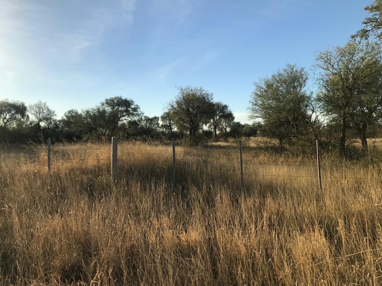 4300 HA GANADERAS CORDOBA