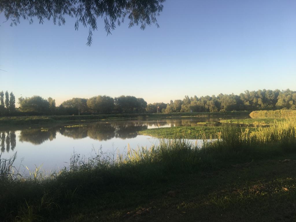 Terreno en  Chacras del Paraná - 1 hectárea al golf - Arbolado