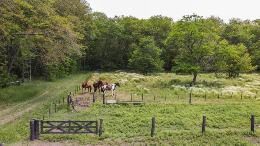 VENTA TERRENO CON VISTA AL RIO LUJAN , CLUB DE CAMPO LA RANITA PILAR OPORTUNIDAD