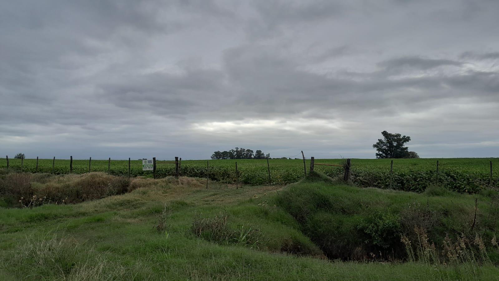 Campo en  Gualeguay 23 HAS sembrables Sin mejoras