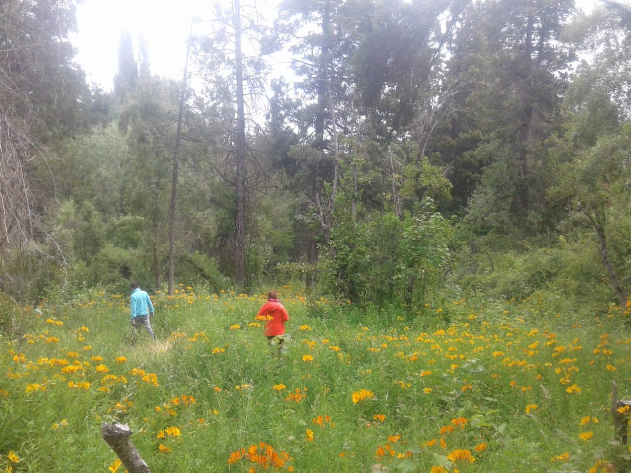 Terreno en  Villa Turismo- El Bolson