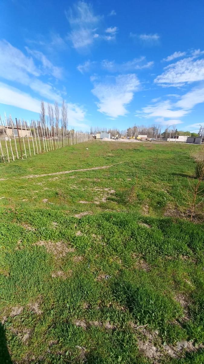 EN VENTA, Lote 257,30 m2 en Confluencia Rural, calle Pomona.