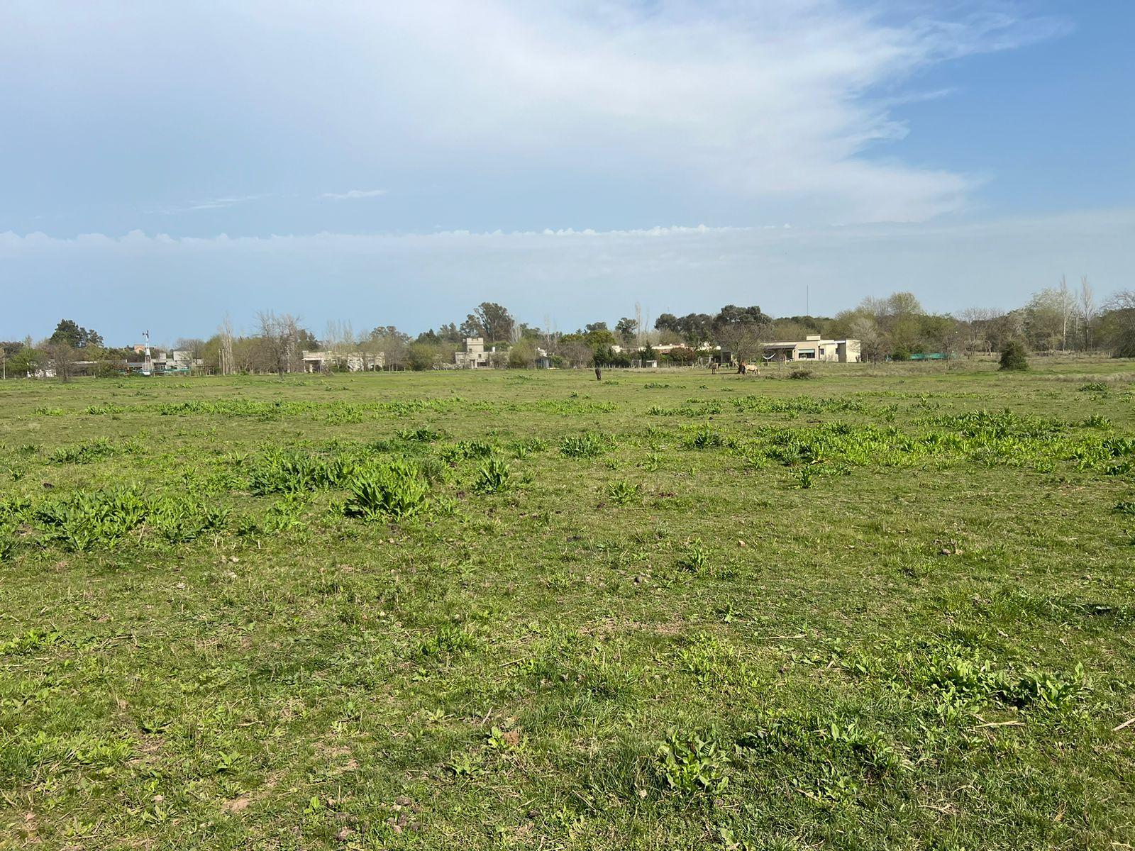 Terreno en  venta en San Antonio de Areco. Ideal loteo o desarrollo