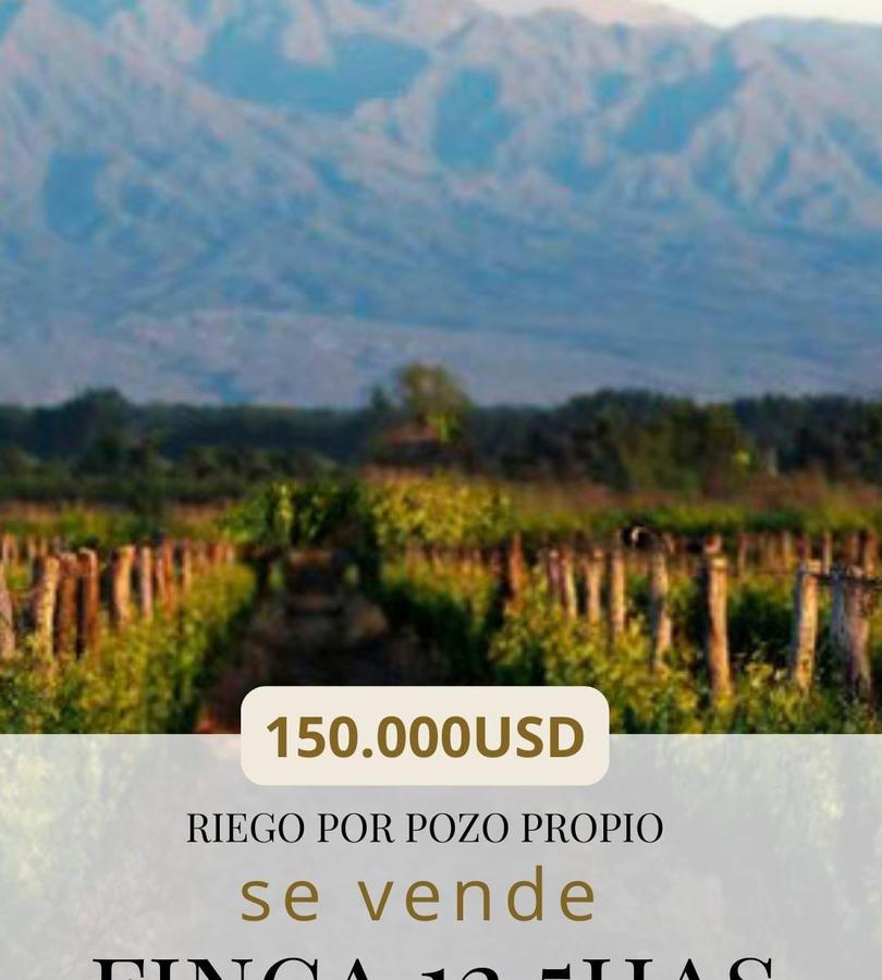 VENDE FINCA EN ALTO UGARTECHE SUPERFICIE TOTAL 12.5 HAS