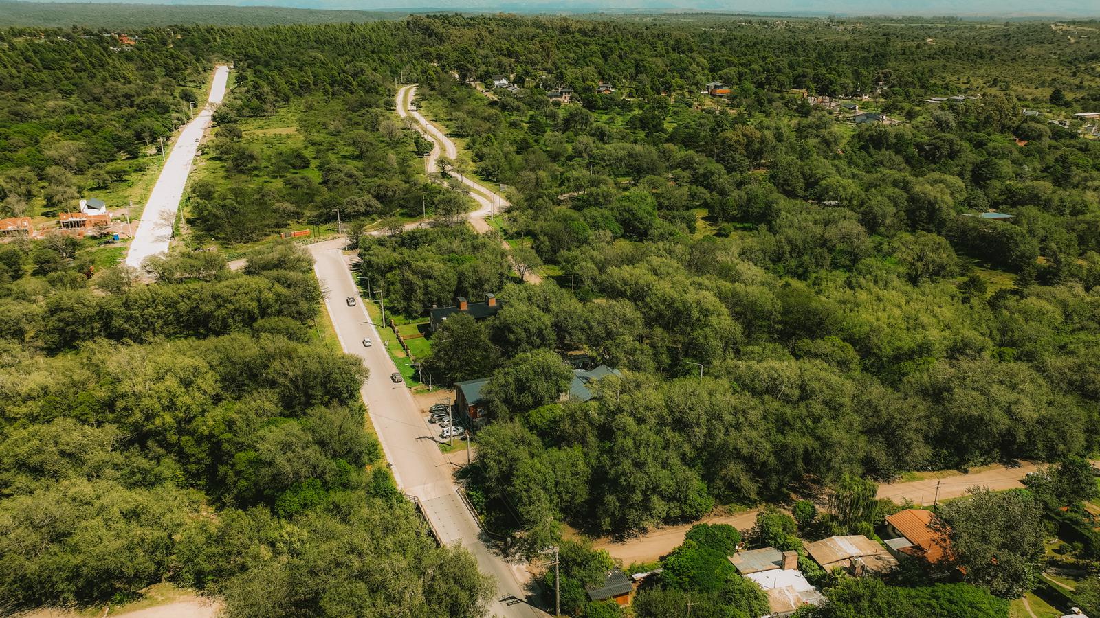 BOSQUECILLO - BARRIO DE MONTAÑA