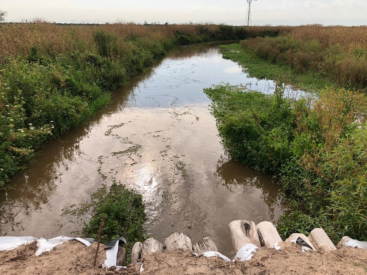 Campo en Santiago del Estero apto para explotación ganadera  (2200 ha)