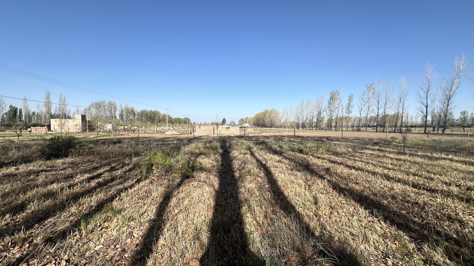 Terreno de 2.500 m2 en Cuadro Benegas - Calle Las Palmas