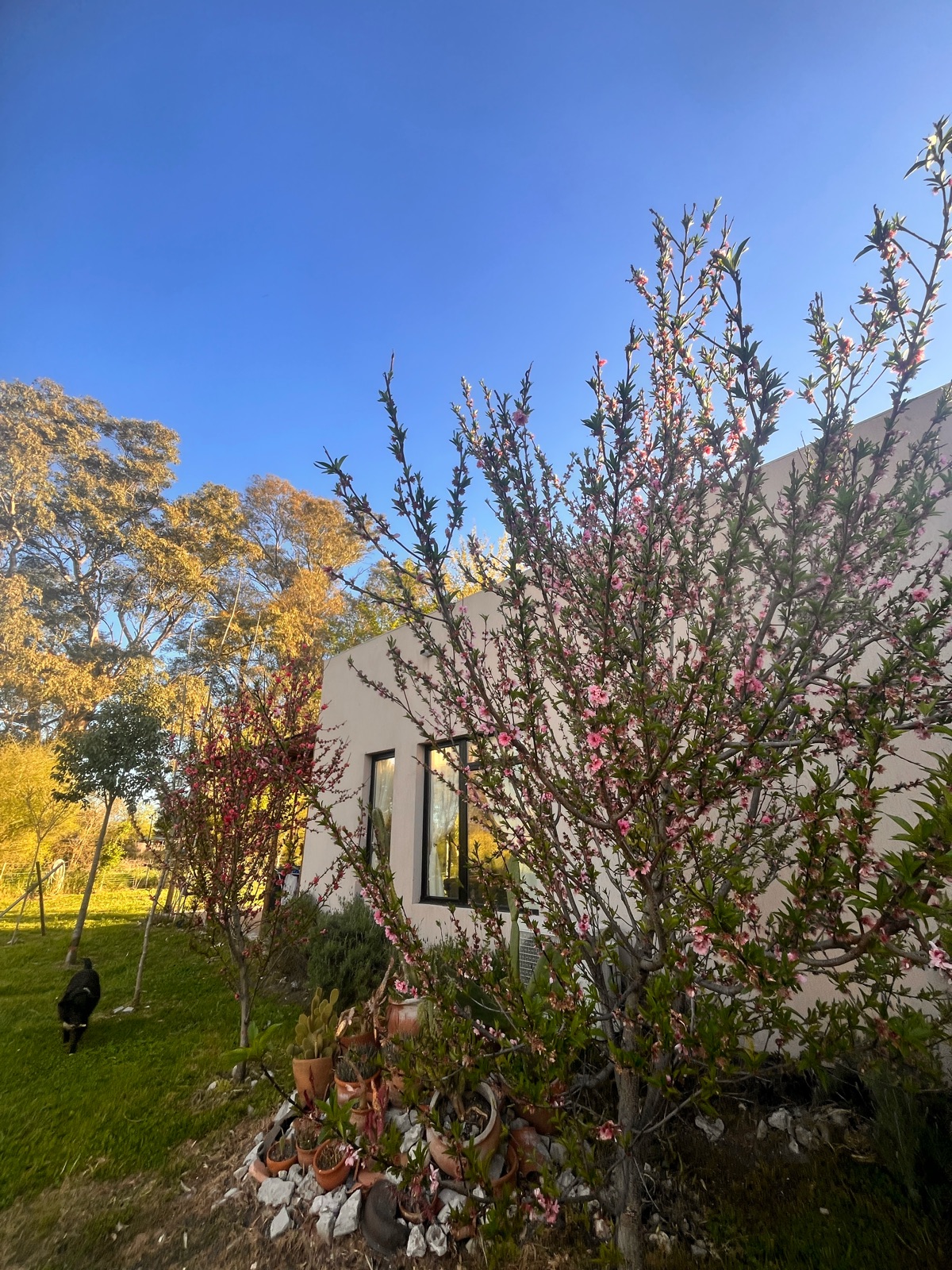 Casa - Estancia Las Malvinas