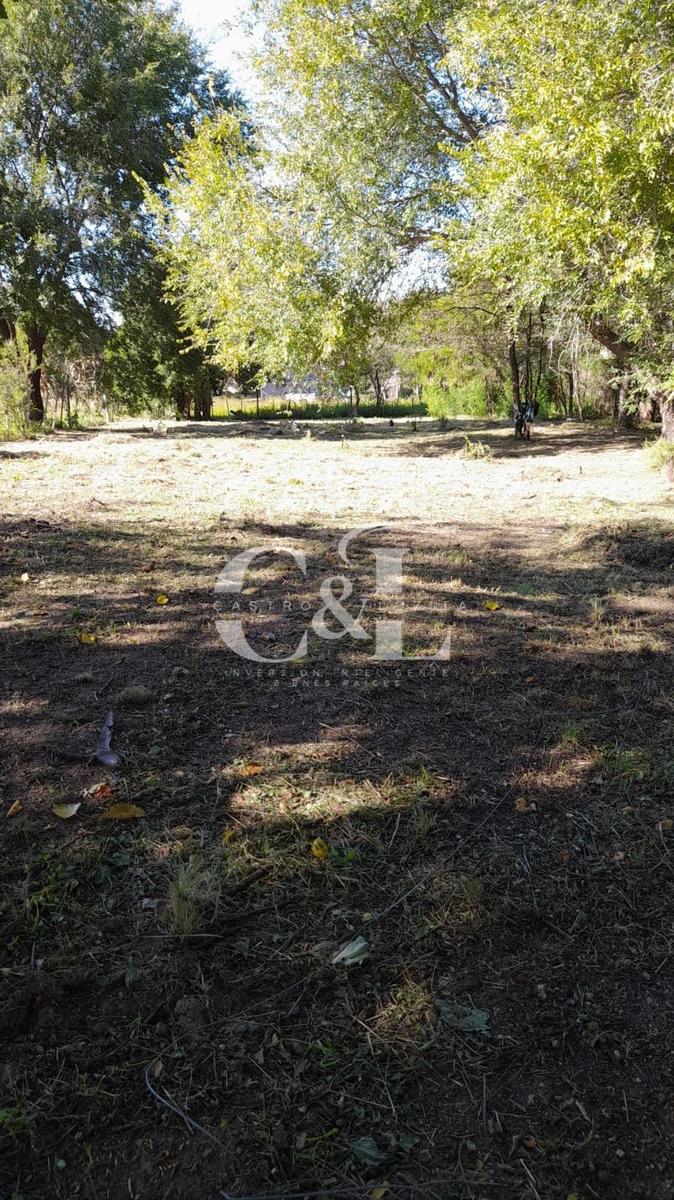 ESPECTACULAR TERRENO DE 1000M² SOBRE  COLECTORA DE RUTA 28. B° LOS CHAÑARES- TANTI