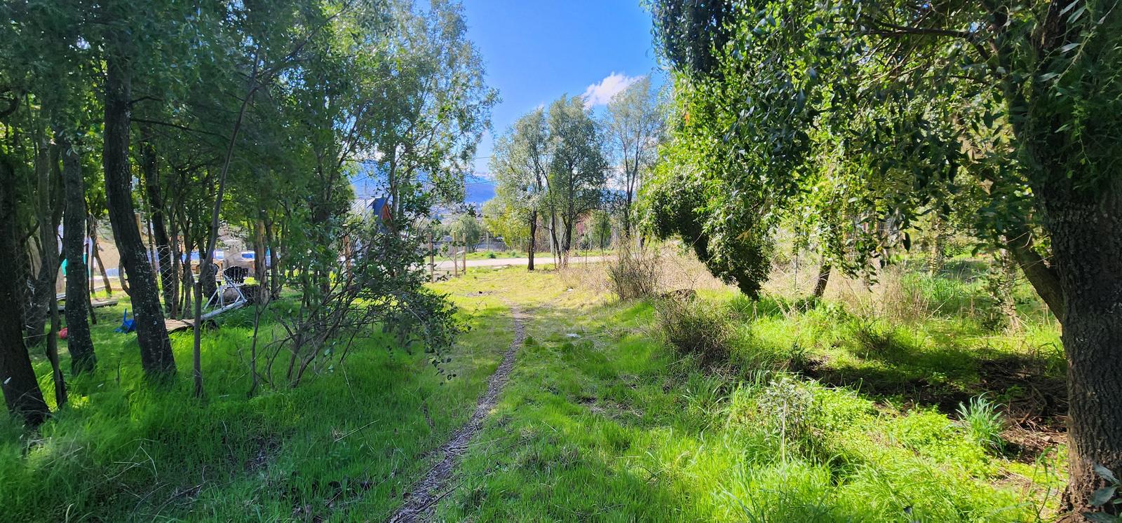 Terreno en Barrio Buena Vista