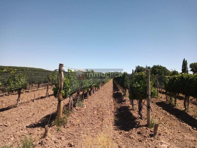 Finca en venta en el Carrizal del medio