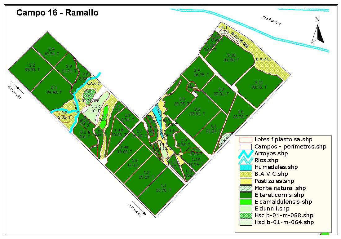 Campo - Ramallo