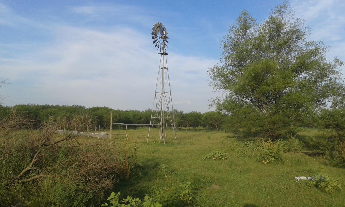 Campo - Costa Del Uruguay