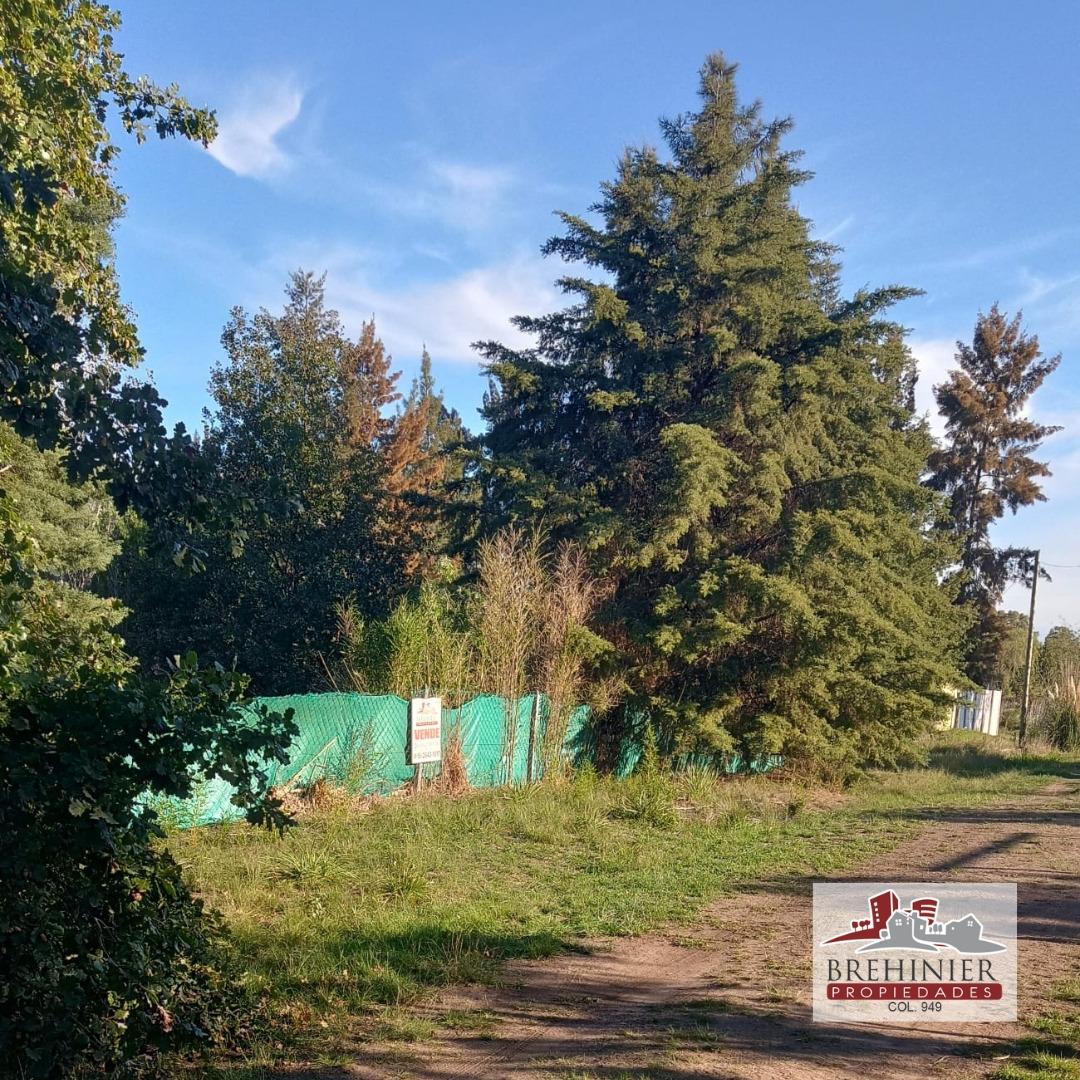 Terreno en  Abasto La Plata