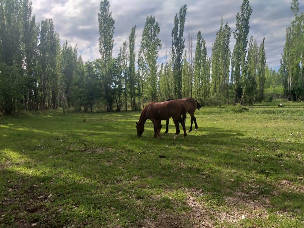 chacra en venta