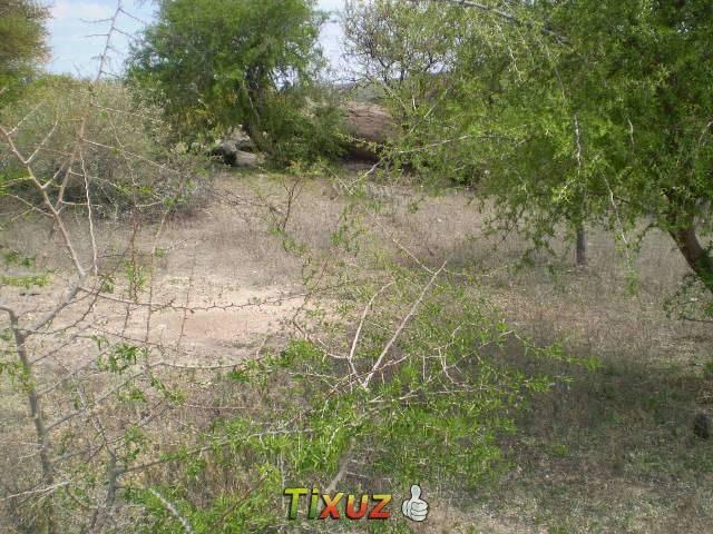 Venta Fracción de Campo en Toro Muerto. Córdoba