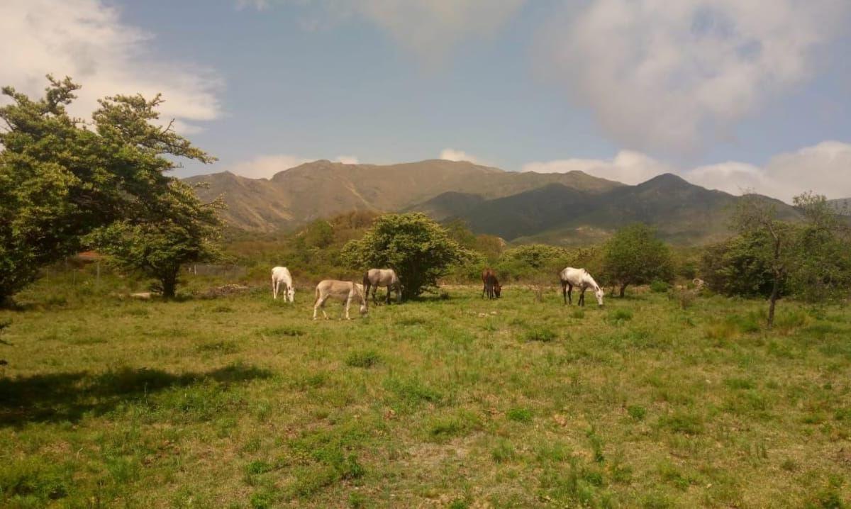 Terrenos Lotes En Las Sierras De Cordoba