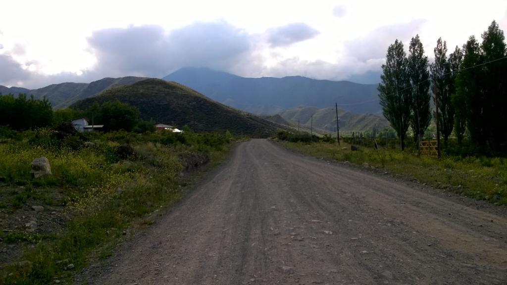 Terreno - Potrerillos