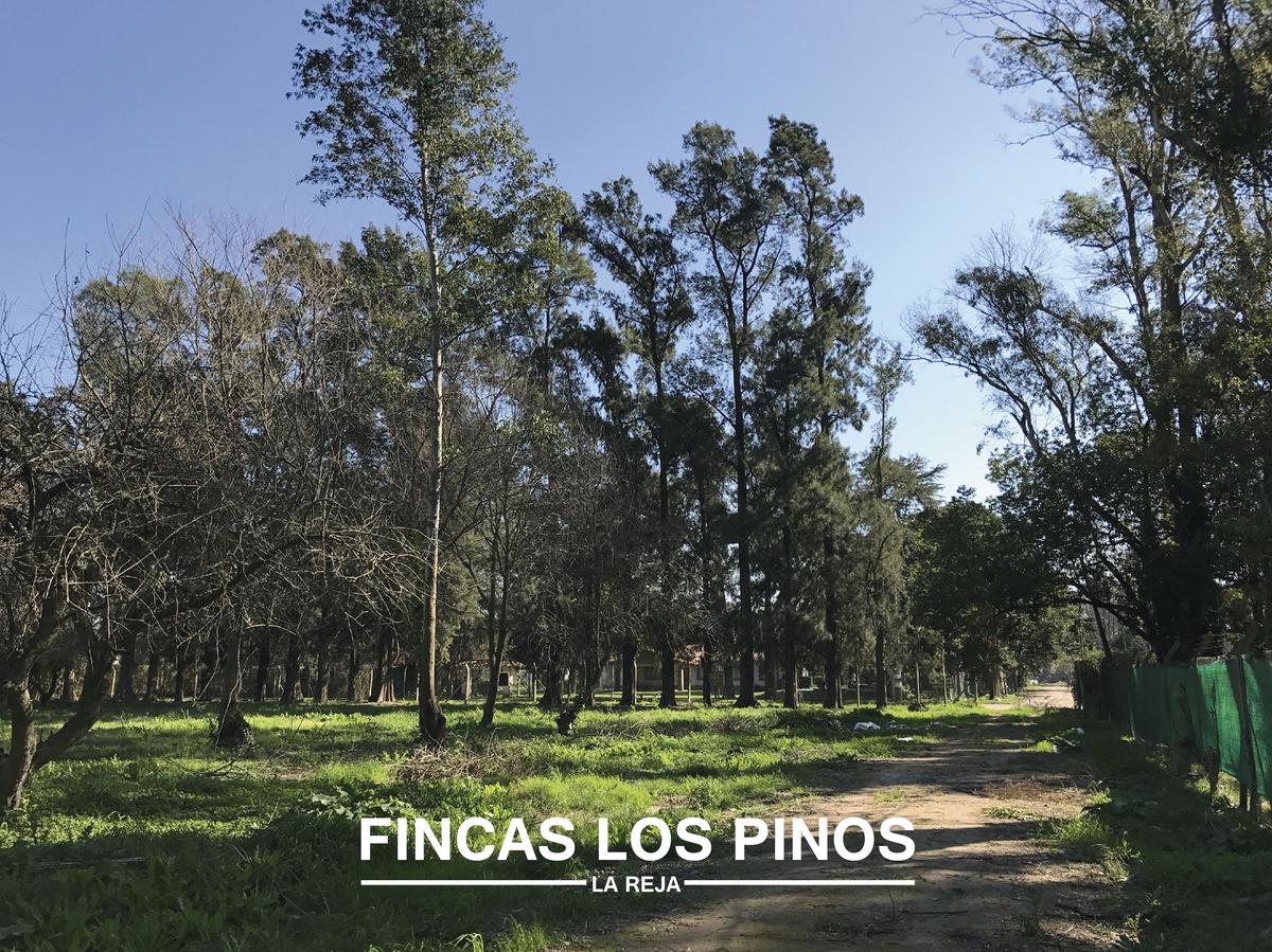 VENTA Lote 728 m2 Fincas Los Pinos - La Reja Sur