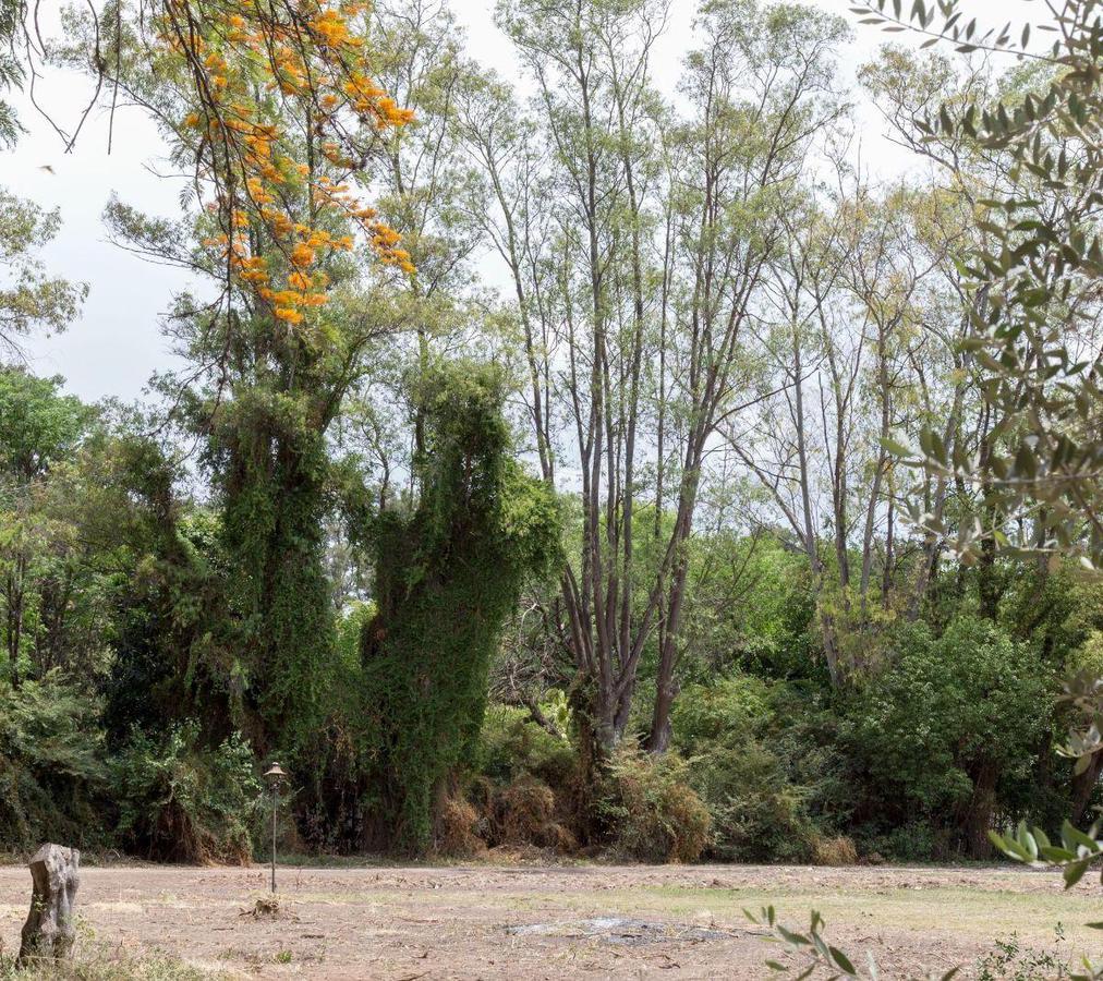 TERRENO A LA VENTA EN DEL VISO EN BARRIO CERRADO