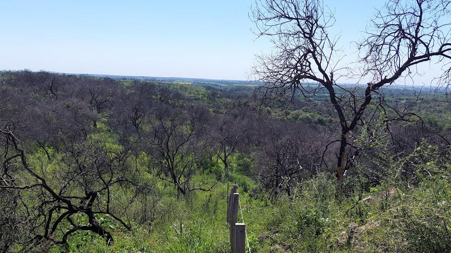 Campo - Falda Del Carmen