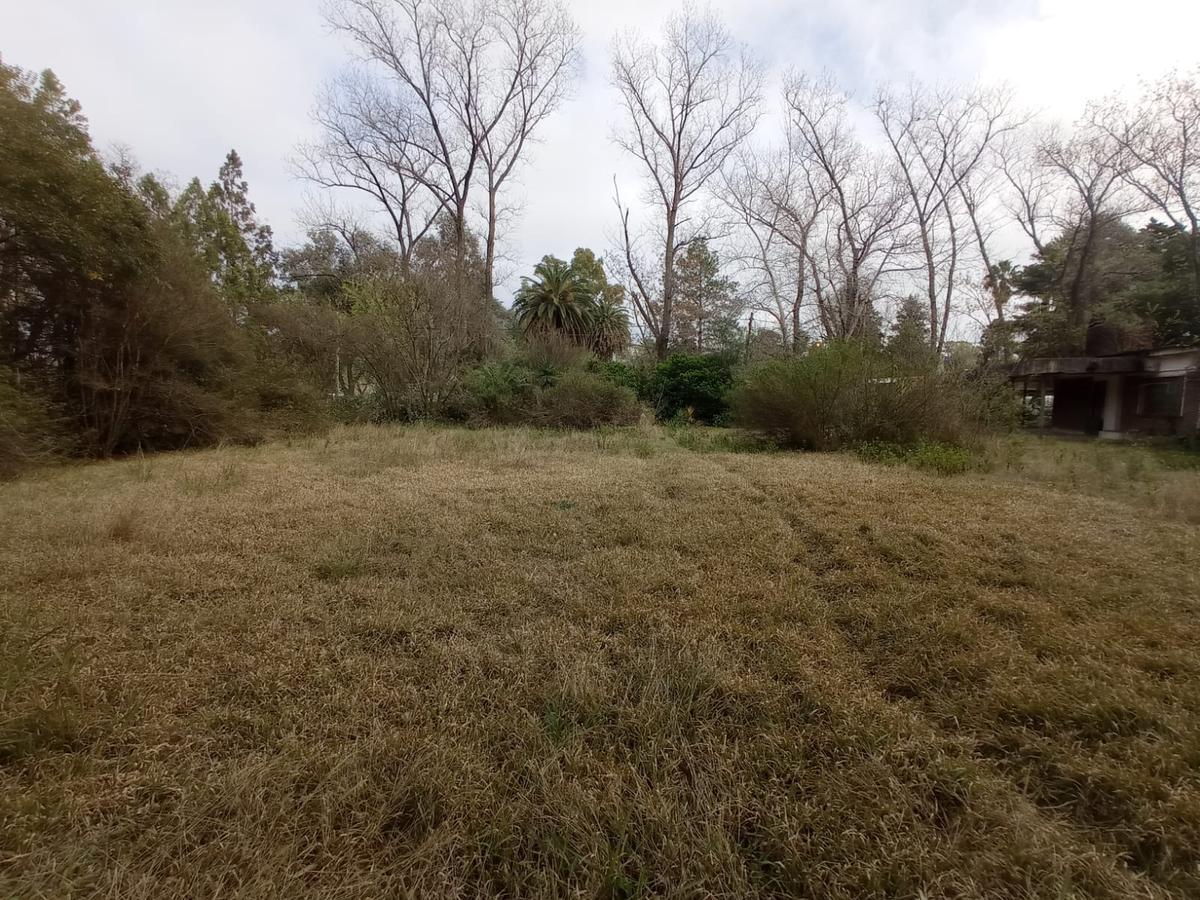 Terreno en Cotos de la Alameda Roldan