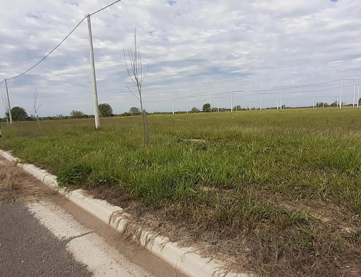 VENTA - Lote - Estancia Las Moras, Ricardone