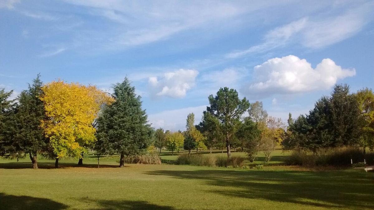 Terreno - Las Brisas