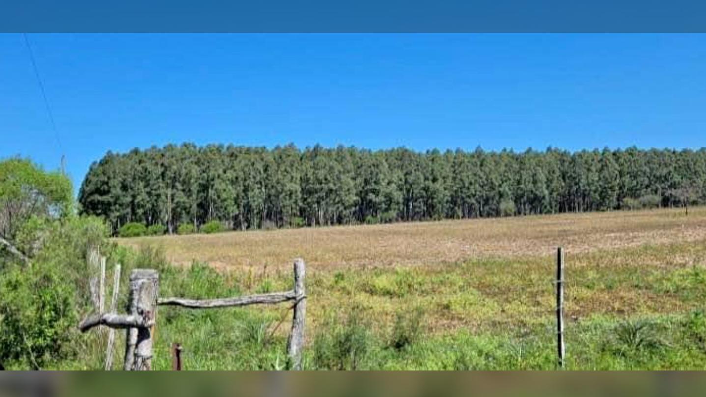 Campo en Ubajay