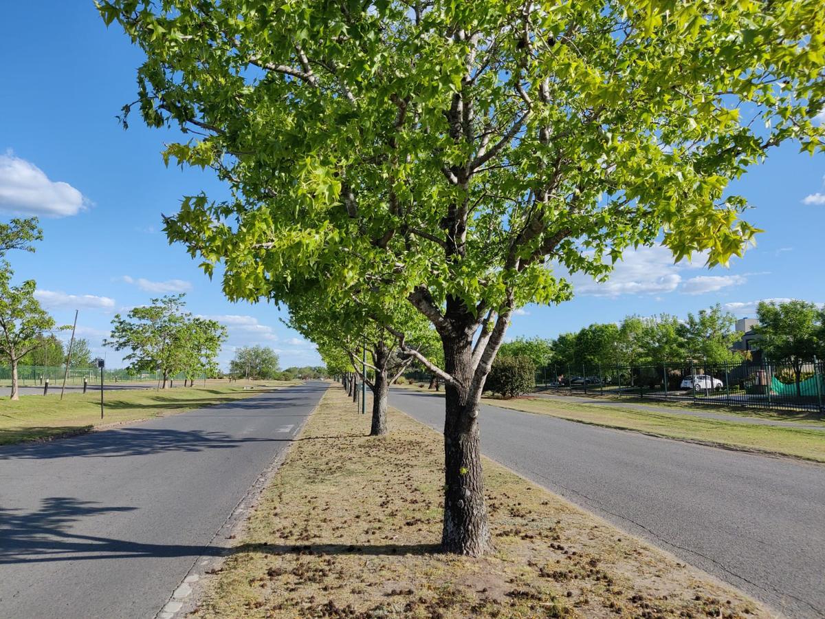 Lote con fondo verde en Santa Elisa, Pilar del Este