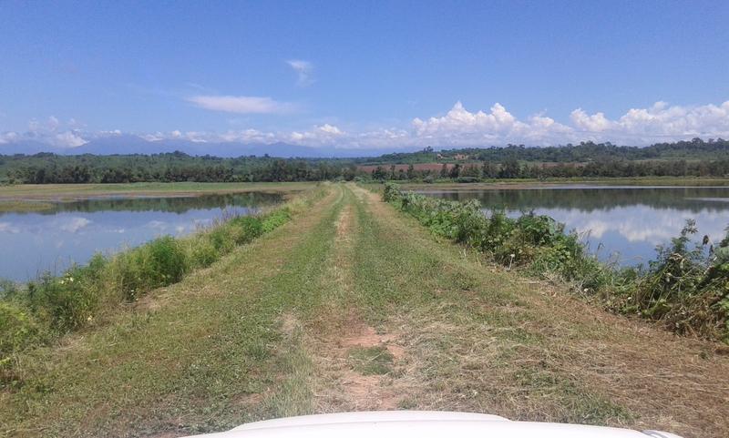 Campo - Colonia Santa Rosa